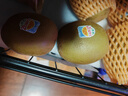 佳沛（zespri）新西兰  阳光金奇异果10粒礼盒巨大果单果约144-175g 水果 猕猴桃 实拍图