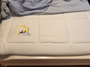 京东京造阿金朵100%天然新疆棉花床垫 纯棉床垫床褥 1.5x2m 实拍图