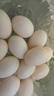 均鲜新鲜土鸽子蛋杂粮喂养农家特产白鸽蛋信鸽蛋孕妇宝宝年货节礼盒装 30枚610g左右精选鲜鸽蛋 实拍图