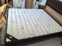 香榭柏兰 椰棕床垫棕垫硬棕榈床垫子 天然乳胶榻榻米床垫定做定制 20CM厚（防螨面料+15CM椰棕+2CM乳胶） 1.8米*2米 实拍图