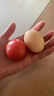【超市精选】山东沙瓤水果西红柿新鲜番茄蔬菜减肥单果100g起 西红柿中大果 4斤 带箱 实拍图