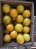 褚橙 云南冰糖橙  优级果 L 10斤装 单果约130g起 生鲜水果礼盒 实拍图