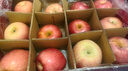 京鲜生 烟台红富士苹果 净重10斤  单果160g以上 水果礼盒 实拍图