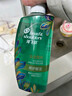 海飞丝去屑0硅油洗发水650ml菁纯丝滑男士女士洗发露控油蓬松刘宇宁同款 实拍图