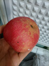 京鲜生 山东烟台红富士苹果 9斤装单果80-85mm 生鲜水果 源头直发 实拍图
