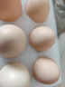 1号会员店 可生食标准鲜鸡蛋30枚 净重3斤 1号会员店自有品牌  源头直发 实拍图
