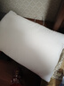 富安娜枕头芯纯棉面料成人枕酒店枕芯纤维软枕 中枕一个装74*48cm 实拍图