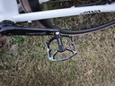 西骑者（WestBiking）自行车脚踏三培林轴承铝合金踏板山地公路车脚蹬子骑行配件 实拍图