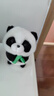熊猫熊小熊猫玩偶儿童毛绒玩具娃娃花花大公仔生日礼物陪睡布娃娃抱抱熊 实拍图