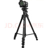 云腾（YUNTENG） VT-9009 微电影级专业2米大型三脚架云台套装微单数码单反相机摄像机手机用铝合金三角架 实拍图