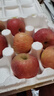甜醉了 烟台苹果栖霞红富士新鲜水果生鲜山东特产脆甜整箱平果礼盒礼品 净重5斤 85mm 实拍图