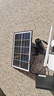 网络眼太阳能摄像头监控器360全景全彩夜视追踪无电无网终身免流量手机远程监控360无死角户外高清防水 实拍图
