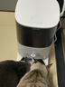 霍曼（Homerun）Real智能自动喂食器猫粮狗粮定时猫咪自动投食机（不锈钢碗） 实拍图