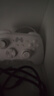 北通鲲鹏20无线游戏手柄智控双切扳机震动蓝牙手柄xbox电脑PC手机steam电视NSswitch2体感原神宝可梦ZA 实拍图