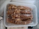 一虾一世界鲜活熟冻皮皮虾 新鲜虾爬子濑尿虾大号爬爬虾肉虾婆肉 烧烤食材 中号公虾 3斤(净重)  【500g*3盒】 实拍图