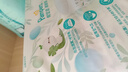 帮宝适（Pampers）清新帮拉拉裤加大码XL34片超薄干爽透气男女宝宝通用 实拍图