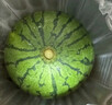 京鲜生 麒麟西瓜 1粒净重7-8斤 生鲜水果源头直发包邮 实拍图