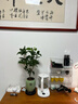 开时果 四季桂花盆栽树苗浓香型 新中式盆景办公室内绿植物源头直发包邮 精品四季桂+福字青瓷盆 【整高约40-50cm左右】 实拍图