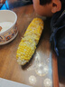 滇味十足（DIANWEISHIZU）水果玉米甜玉米云南金银双色新鲜甜嫩水果玉米棒鲜玉米茄果瓜 金银双色 【精选9斤】（净重 约10-16根） 实拍图