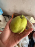 京鲜生 新疆库尔勒香梨 净重4.5斤 单果140g以上 生鲜水果 礼盒装 实拍图