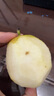 京鲜生 新疆库尔勒香梨 净重10斤 一级 单果100-120g 生鲜水果 实拍图