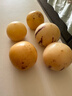 京鲜生 云南人参果 净重300g 单果50g起 生鲜水果 实拍图