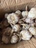 紫白皮蒜水果大蒜超市即食生鲜蔬菜大蒜 【优选】带箱 1斤 单果3.5-5cm 实拍图