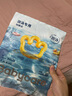 babycare【品牌直供 安心品质】婴儿游泳裤短裤式防水尿不湿XXL码6片/包 实拍图