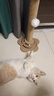 HELLOJOY猫抓柱剑麻猫抓板猫玩具耐抓耐磨不掉屑猫爬架立式自嗨解闷用品 实拍图