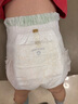 babycare金山茶花拉拉裤XL34片(12-17kg)婴儿尿不湿超薄透气新生柔花苞裤 实拍图