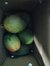 京鲜生 攀枝花凯特芒果 净重8.5斤 带箱9斤 单果500g+ 生鲜水果源头直发 实拍图