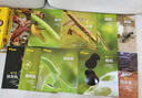 生命的故事 第1辑（共10册 ）蝌蚪小龙虾西瓜虫螳螂蚂蚁瓢虫 3-6岁昆虫高清实拍科普百科绘本 自然科学知识课外阅读《人民日报》推荐 实拍图