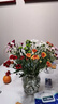 【七彩小雏菊】鲜切花混搭混色多头鲜花插瓶水养花期长七夕礼物 随机混色小雏菊50CM10枝 实拍图