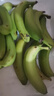 高山香蕉广西产地直发薄皮青果软糯香甜自然熟当季新鲜采摘纯天然 高山香蕉1斤 实拍图