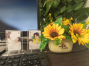 仿真花客厅装饰摆件向日葵插花小盆栽假花塑料花束餐桌花艺装饰品 向日葵花束+Life瓶 实拍图