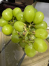 京鲜生 阳光玫瑰葡萄 青提4-4.5斤礼盒装 单果约10g 生鲜水果 生鲜礼盒 实拍图