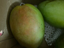 京鲜生 攀枝花凯特芒果 净重8.5斤 带箱9斤 单果500g+ 生鲜水果源头直发 实拍图