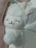 名创优品（MINISO）羊咩咩站姿毛绒公仔玩具玩偶娃娃抱枕送女友儿童生日礼物女 暖白 实拍图