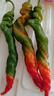 新鲜螺丝椒辣椒即食皮薄微辣特辣尖椒陇椒带箱 2斤普通装2斤 实拍图