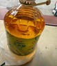 金龙鱼 食用油 非转基因 物理压榨玉米油6.18L（蕴含植物甾醇） 实拍图