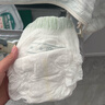 babycare金山茶花拉拉裤XL34片(12-17kg)婴儿尿不湿超薄透气新生柔花苞裤 实拍图