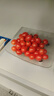 京鲜生山东千禧贝贝小西红柿 圣女果 净重2.8斤源头直发 实拍图