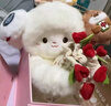 Murcia玫瑰花晚安小羊毛绒玩偶公仔花束捧花可爱生日礼物七夕送男女朋友 实拍图