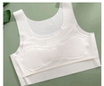 浪莎女童内衣小背心发育期9-16岁学生儿童小学生女孩少女文胸大童 白色+粉色 M （建议55-75斤） 实拍图