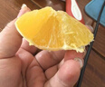 玖原农珍 赣南脐橙当季现摘橙子净重9斤优选果单果150-220g 新鲜水果礼盒 实拍图