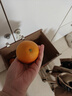 京觅江西赣南脐橙 9斤净重橙子单果170g起纽荷尔甜橙新鲜水果源头直发 实拍图