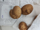 京喜加新鲜黄心土豆农家自种黄皮马铃薯黄心洋芋新鲜蔬菜 1斤 实拍图