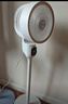 志高（CHIGO）【国家补贴】空气循环扇风扇电风扇家用立式节能落地扇可拆洗摇头台式桌面风扇宿舍客厅厨房卧室 机械款【三档风力-可拆洗-整屋循环】 实拍图