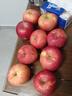 京鲜生 陕西洛川红富士苹果 净重5斤 单果85-90mm 新鲜水果 源头直发 实拍图