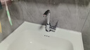 名爵（MEJUE）面盆水龙头冷热双控360°双旋转卫生间洗脸洗手台盆龙头Z-1201 实拍图